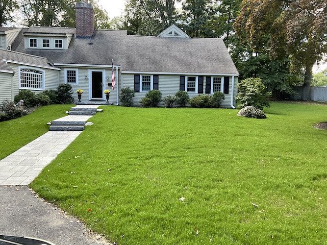 Lawn and Stone Work